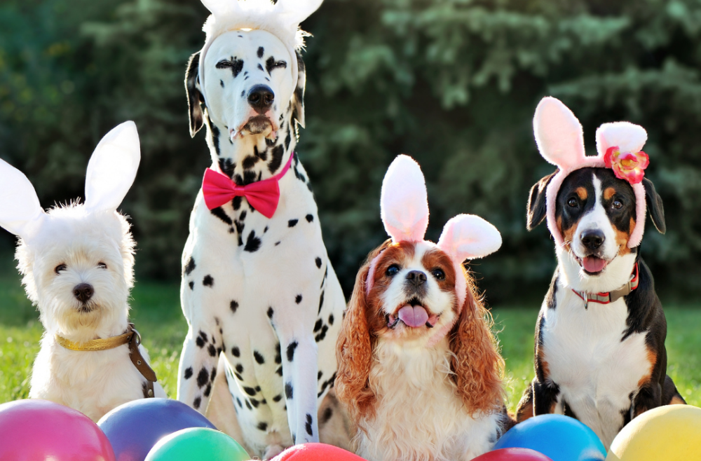 Happy Easter!
