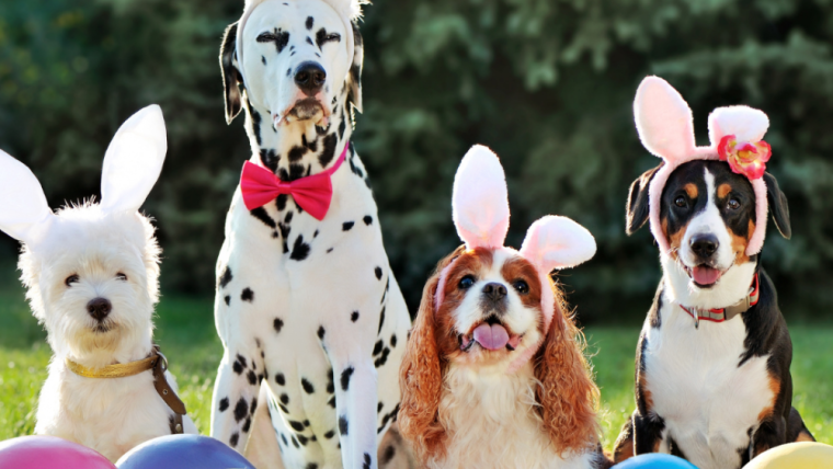 Happy Easter!
