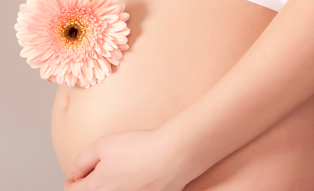 The Connection Between Oral Health and Overall Wellness